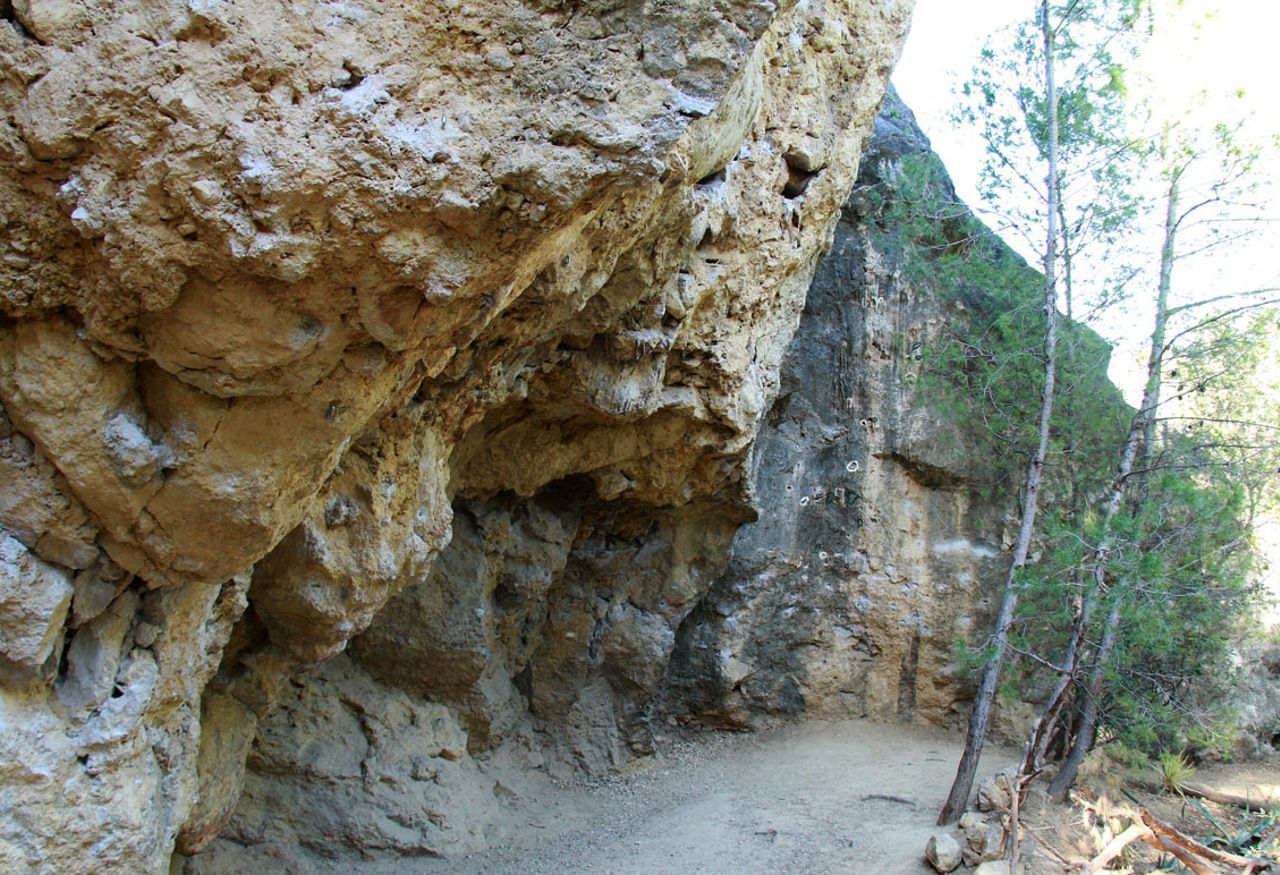 Foto del sector El Torcalito